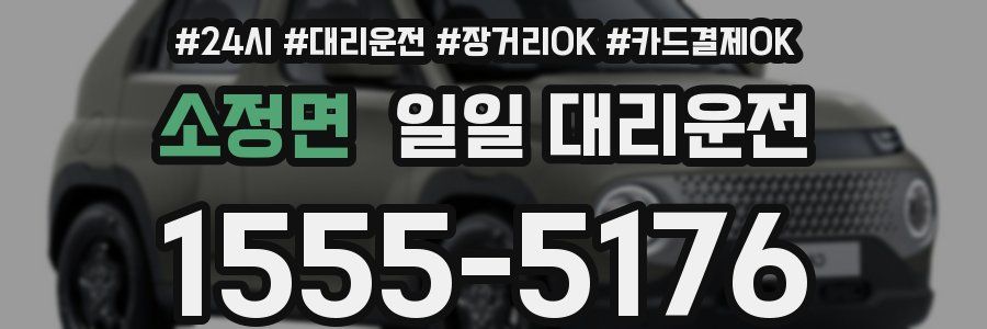 소정면 일일 대리운전