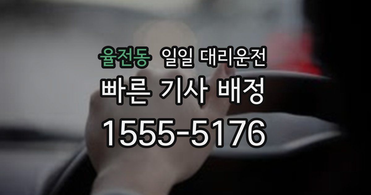 율전동 일일 대리운전