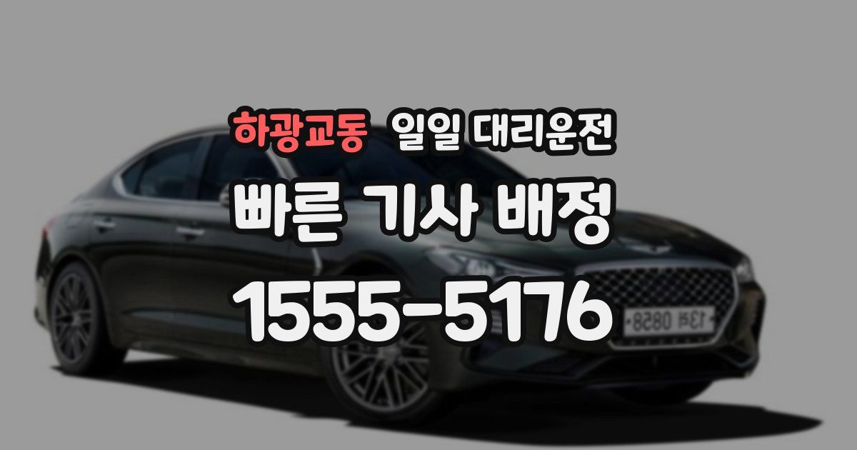 하광교동 일일 대리운전