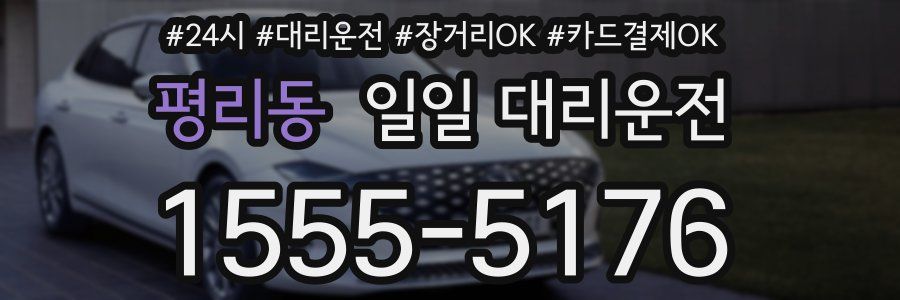 평리동 일일 대리운전