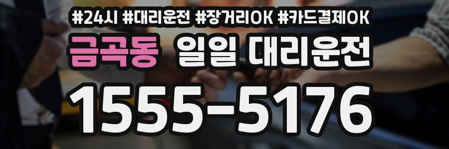 금곡동 일일 대리운전