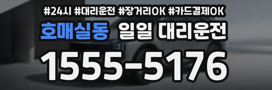 호매실동 일일 대리운전
