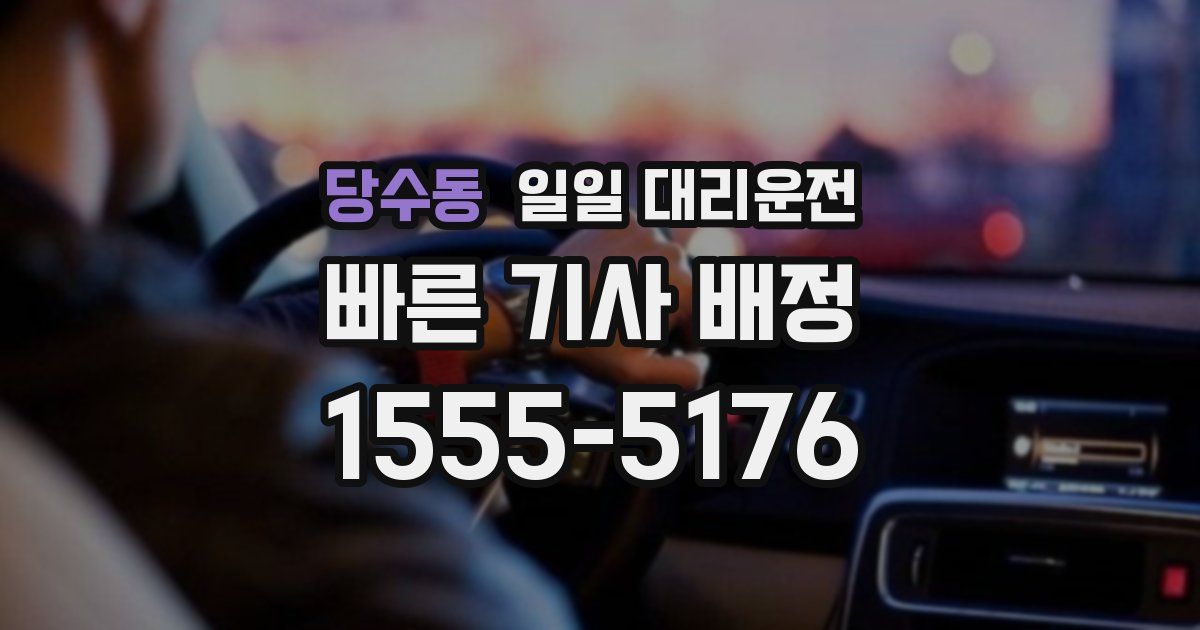 당수동 일일 대리운전