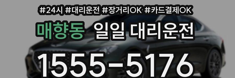 매향동 일일 대리운전