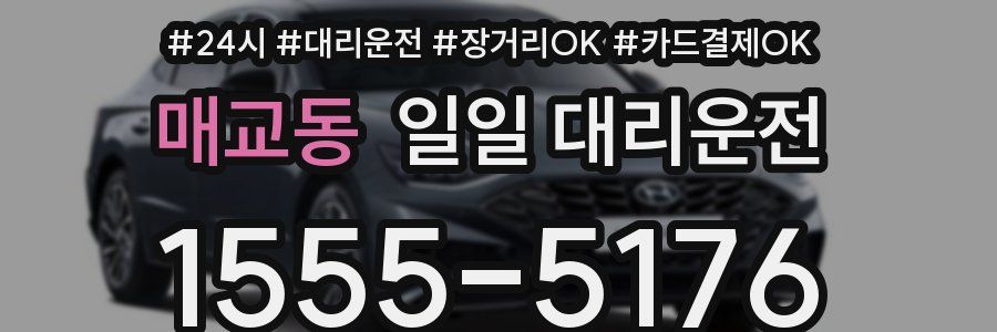 매교동 일일 대리운전