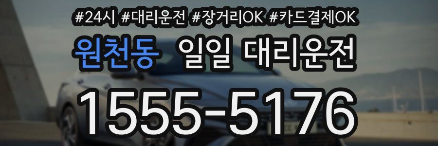 원천동 일일 대리운전