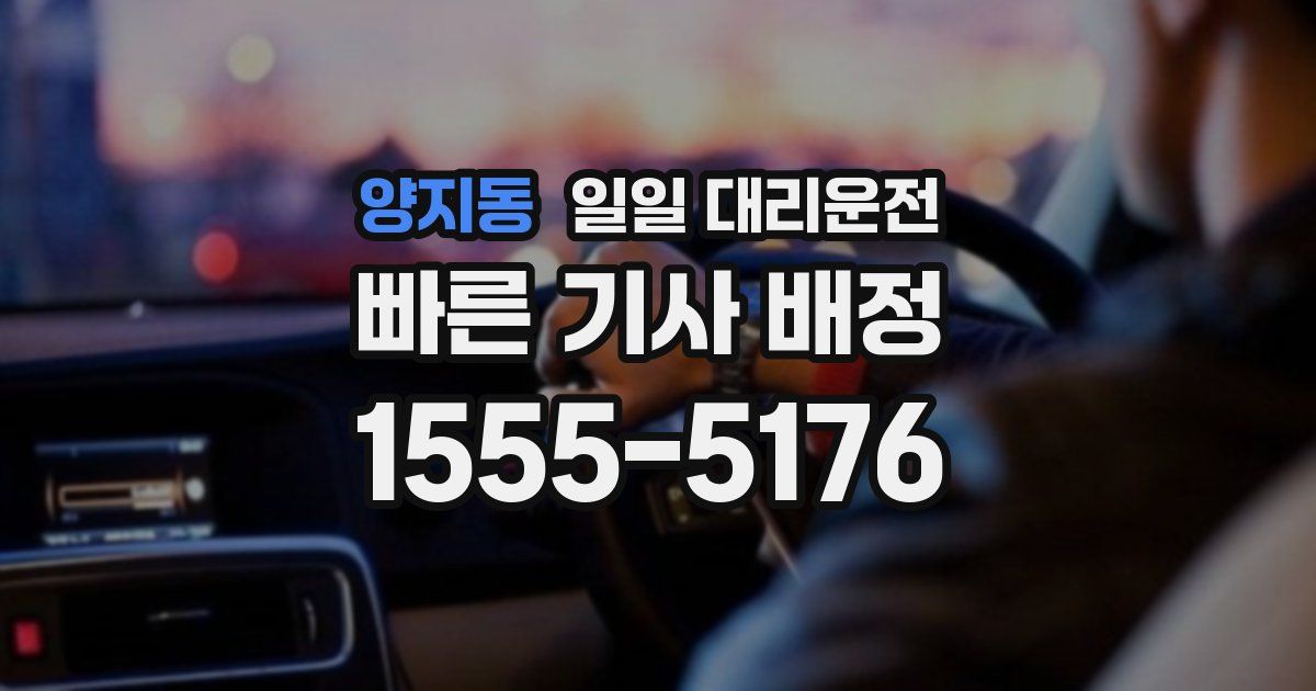 양지동 일일 대리운전