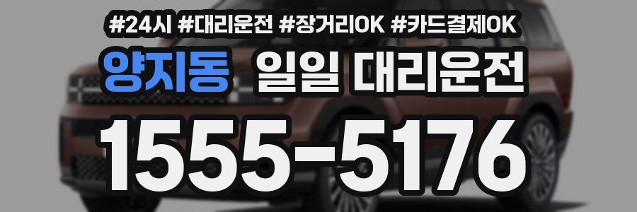 양지동 일일 대리운전