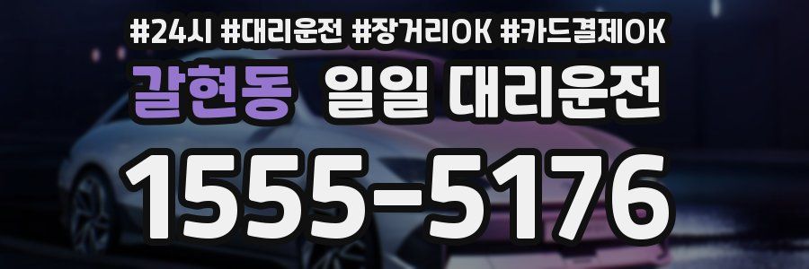 갈현동 일일 대리운전