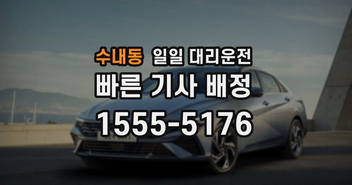 수내동 일일 대리운전