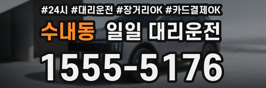 수내동 일일 대리운전
