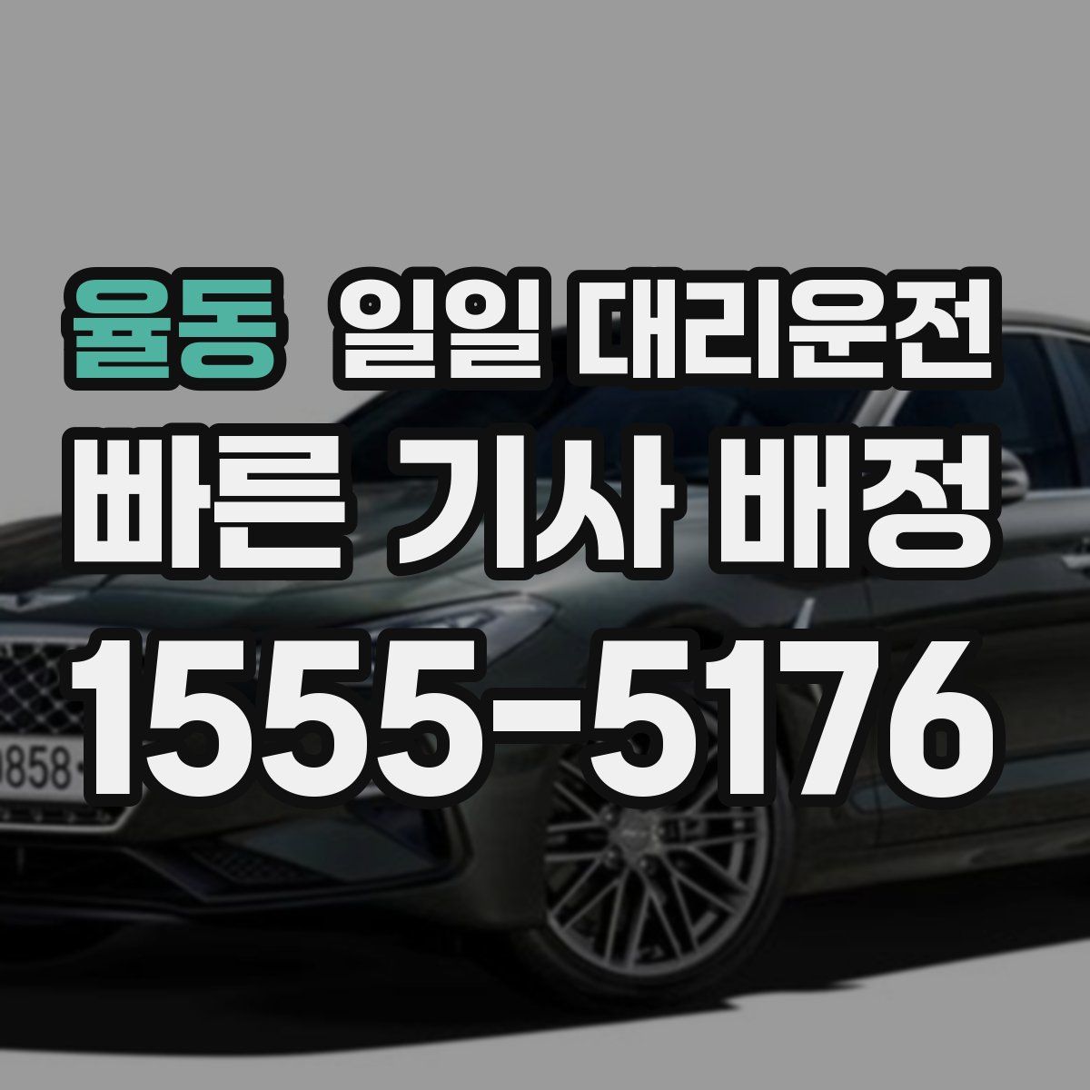 율동 일일 대리운전