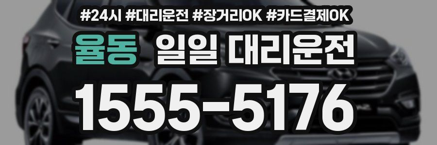 율동 일일 대리운전