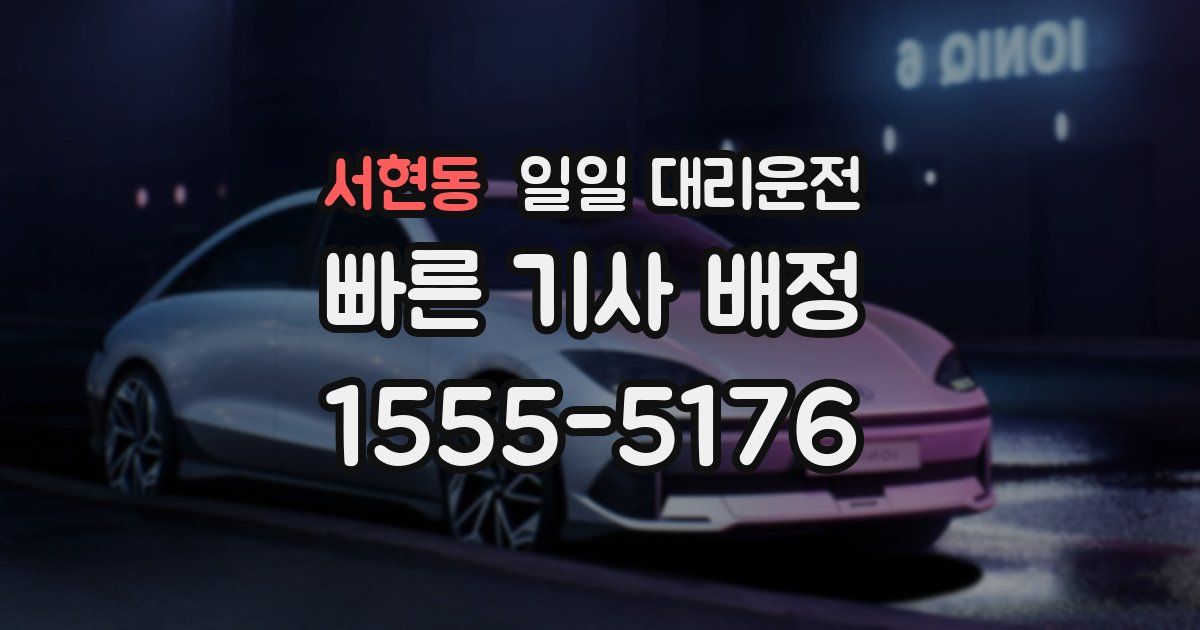 서현동 일일 대리운전