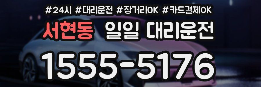 서현동 일일 대리운전
