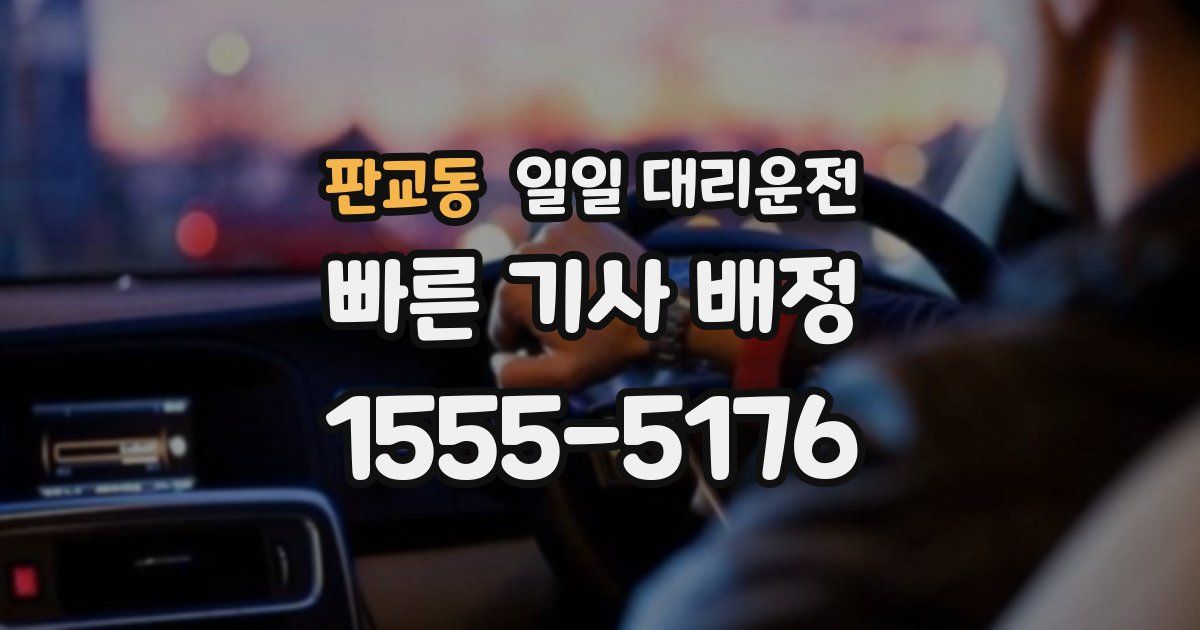 판교동 일일 대리운전