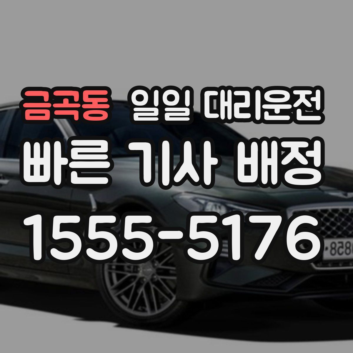 금곡동 일일 대리운전