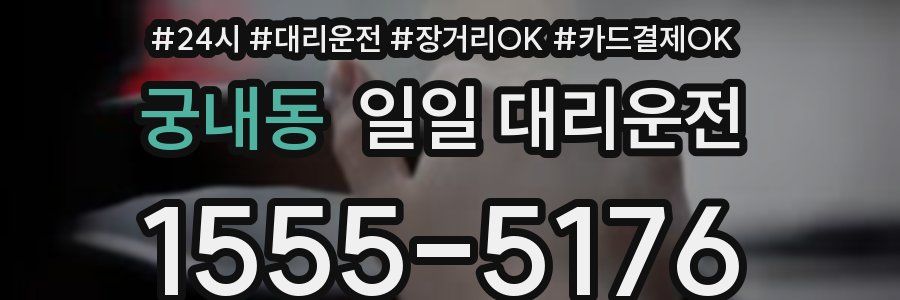 궁내동 일일 대리운전