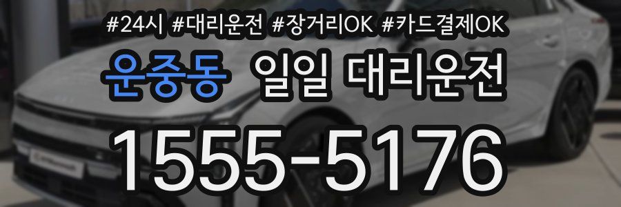 운중동 일일 대리운전