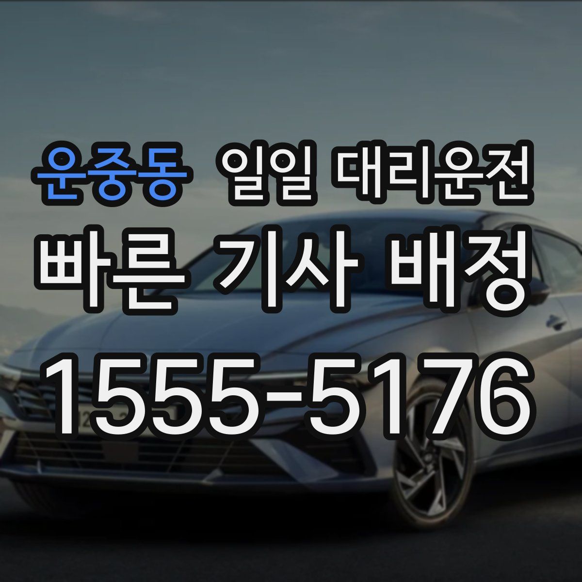 운중동 일일 대리운전