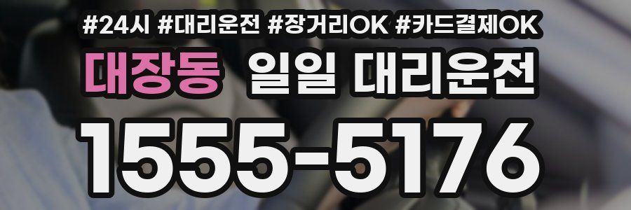 대장동 일일 대리운전
