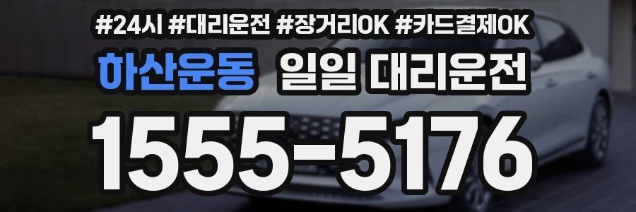 하산운동 일일 대리운전