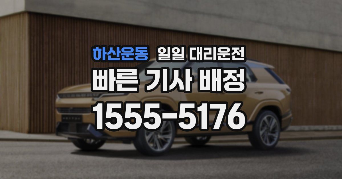 하산운동 일일 대리운전