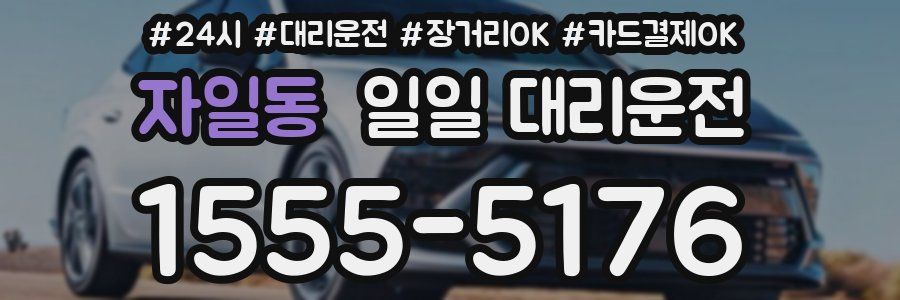 자일동 일일 대리운전
