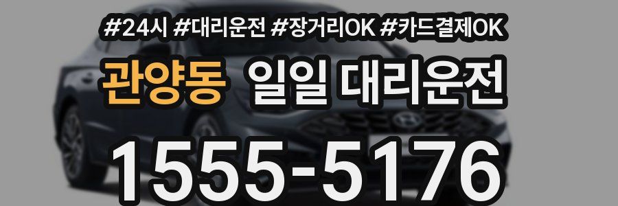 관양동 일일 대리운전