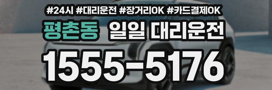 평촌동 일일 대리운전