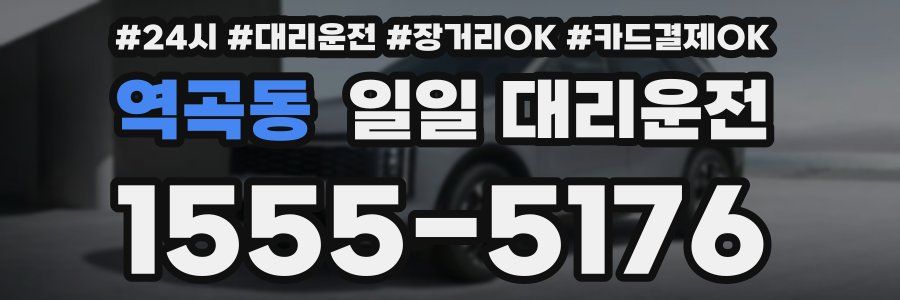역곡동 일일 대리운전