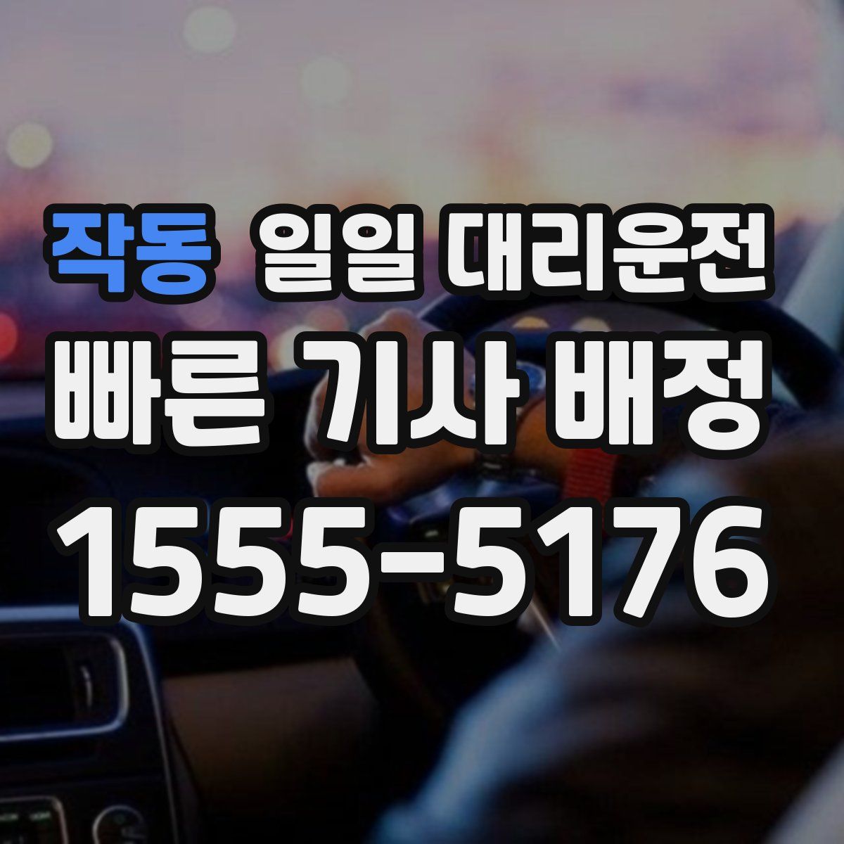 작동 일일 대리운전