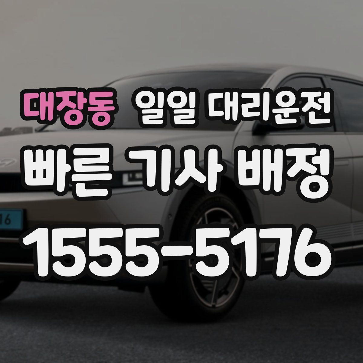 대장동 일일 대리운전