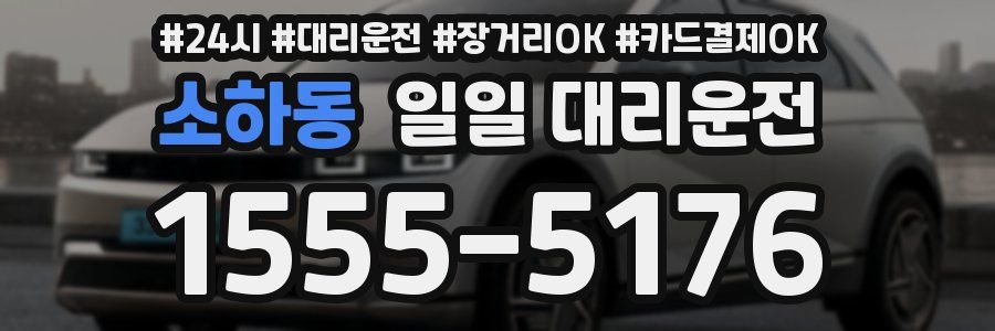 소하동 일일 대리운전