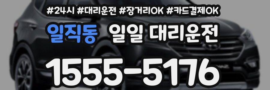 일직동 일일 대리운전