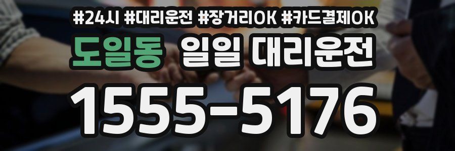 도일동 일일 대리운전