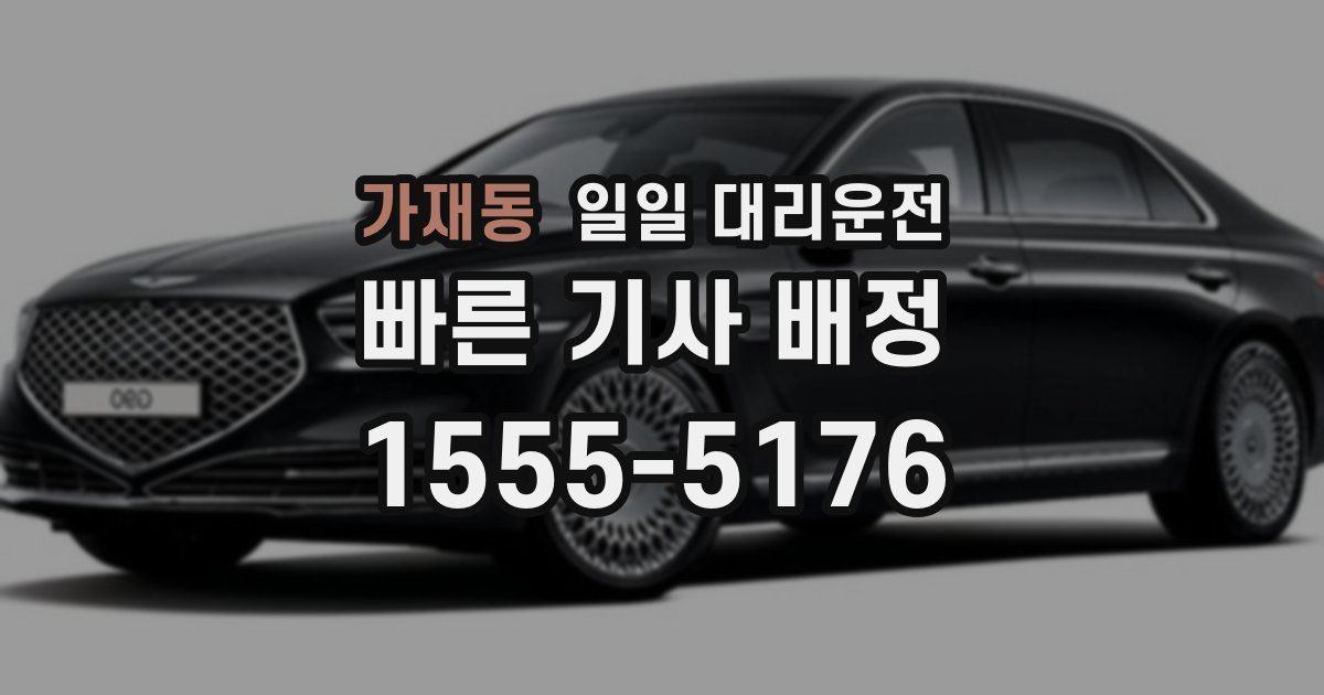 가재동 일일 대리운전