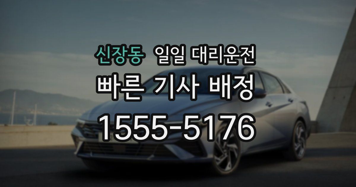 신장동 일일 대리운전