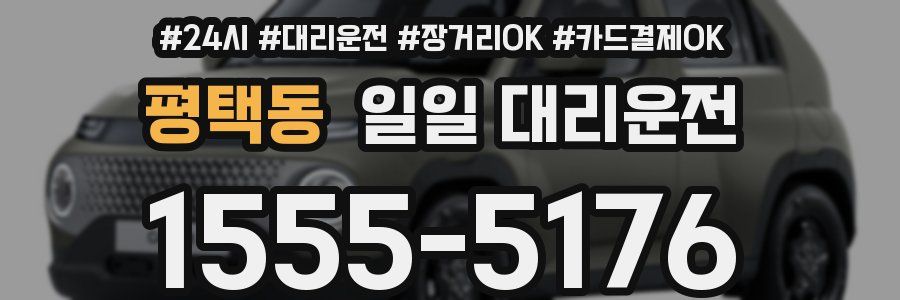 평택동 일일 대리운전
