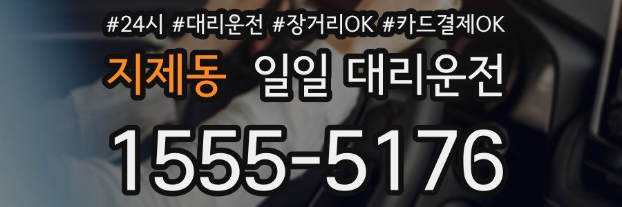 지제동 일일 대리운전