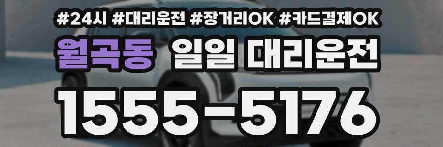 월곡동 일일 대리운전