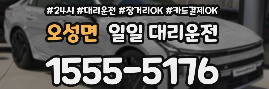 오성면 일일 대리운전