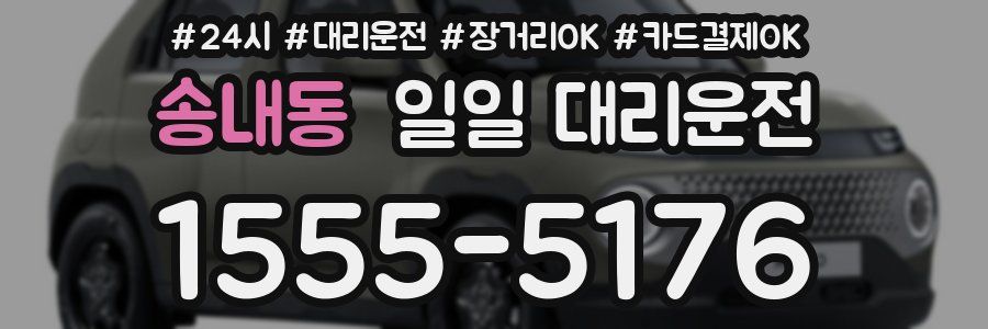 송내동 일일 대리운전
