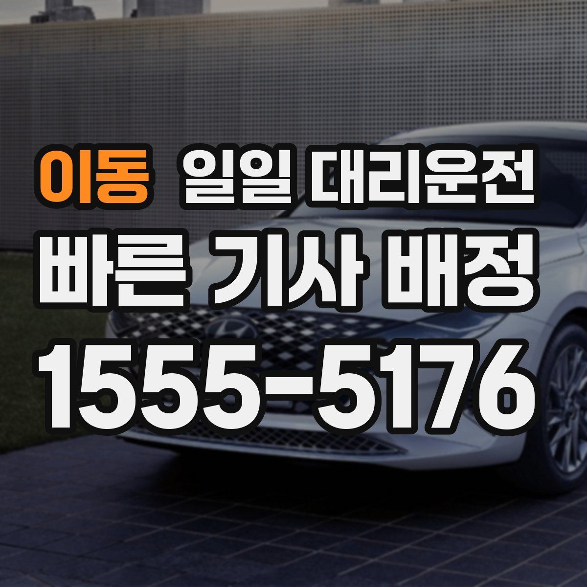 이동 일일 대리운전