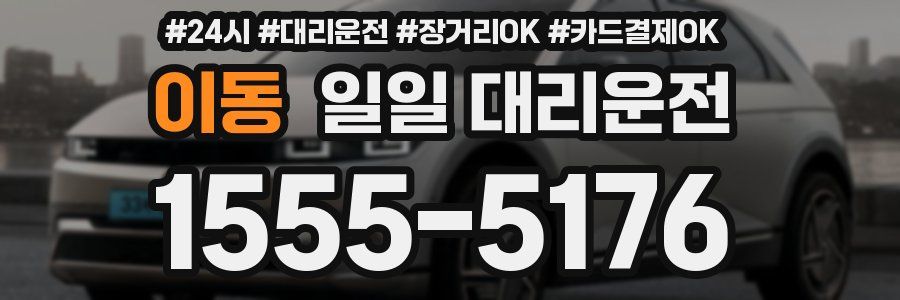 이동 일일 대리운전