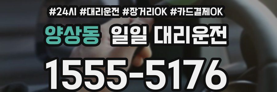 양상동 일일 대리운전