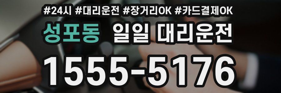 성포동 일일 대리운전