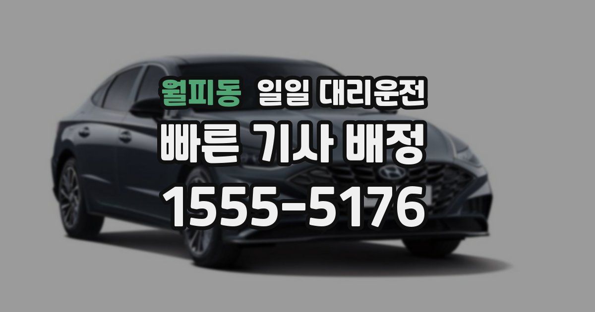 월피동 일일 대리운전