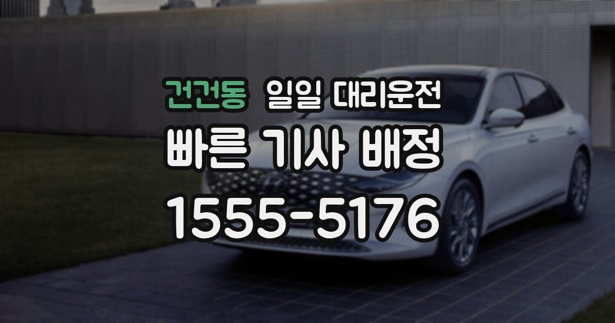 건건동 일일 대리운전