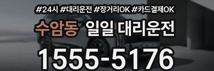 수암동 일일 대리운전